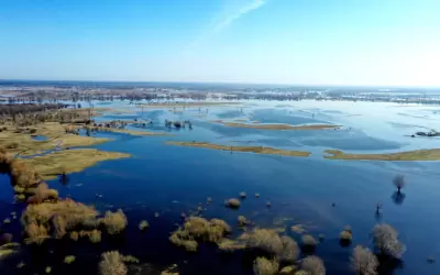 Море Геродота